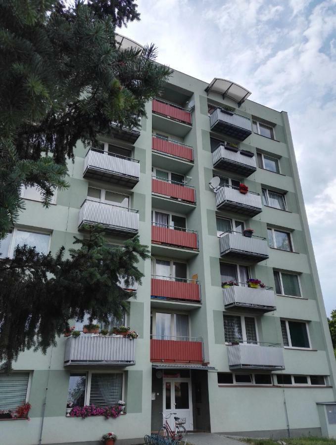 Apartman-Trebon-Centrum Exterior photo